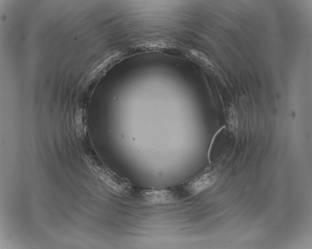 X0000071810428200607141615