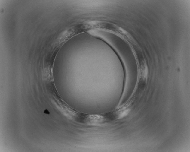 X0000071810429200607141615