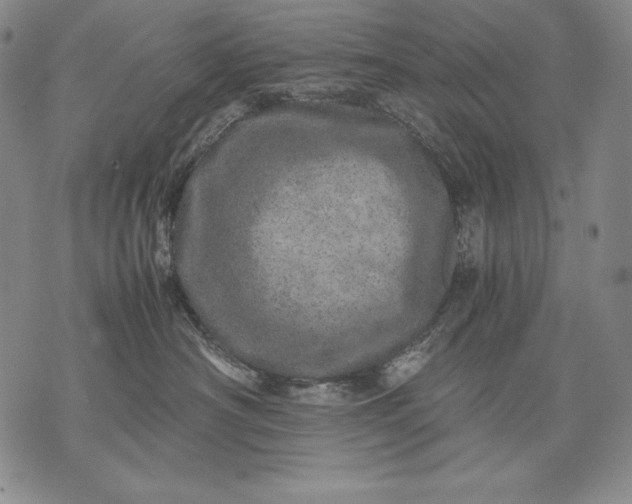 X0000071810430200607141615