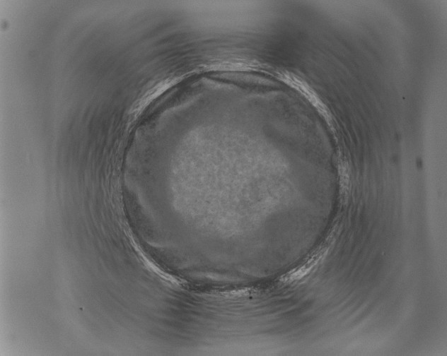 X0000071810433200607141614