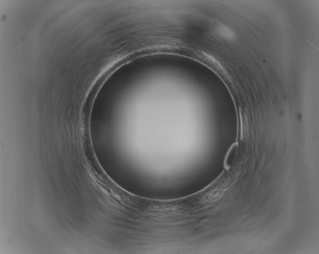 X0000071810435200607141614