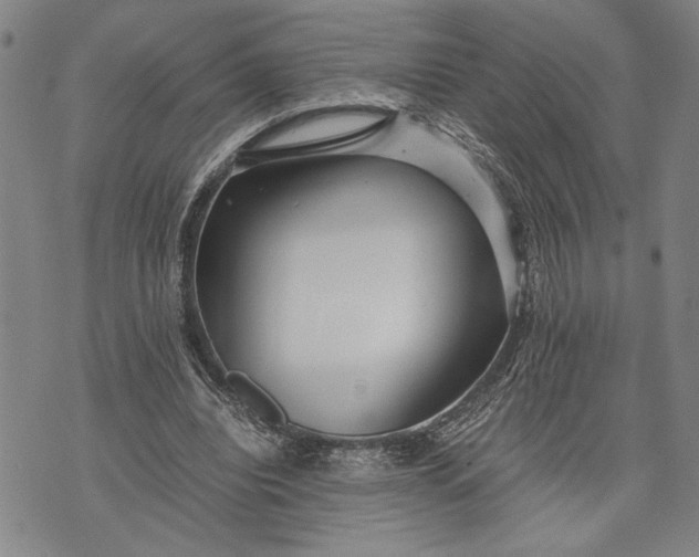 X0000071810440200607141614