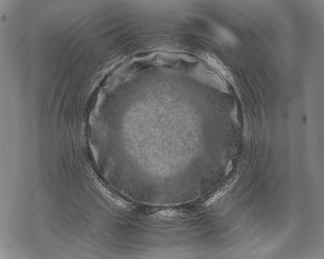 X0000071810441200607141614