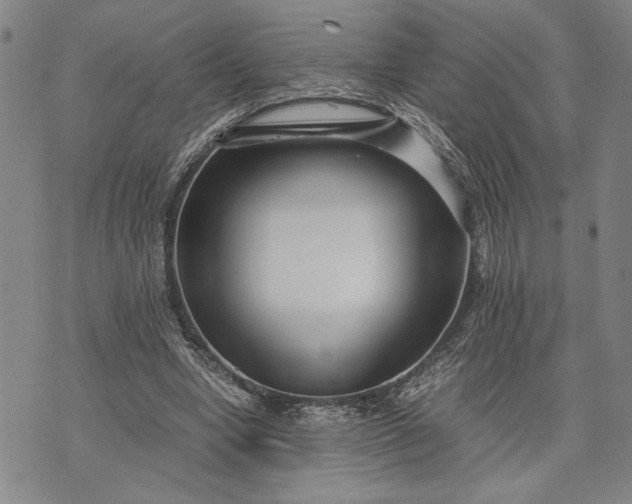 X0000071810442200607141614