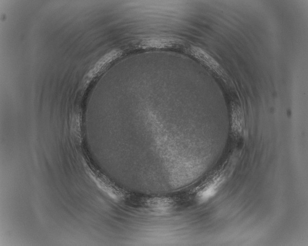 X0000071810444200607141614