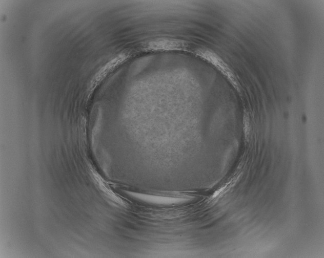 X0000071810445200607141614