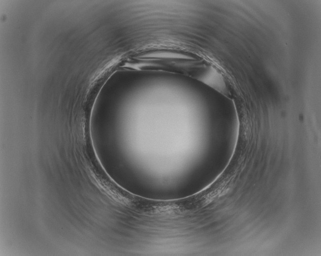 X0000071810446200607141614