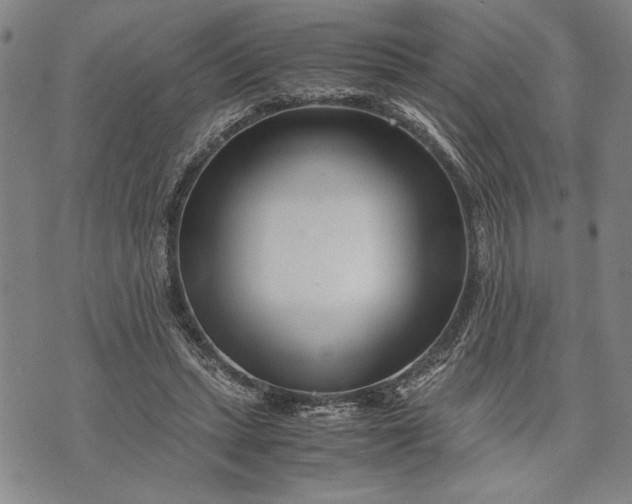 X0000071810447200607141614