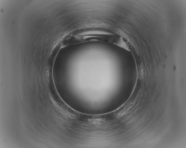 X0000071810448200607141614