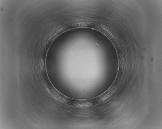 X0000071810459200607141614