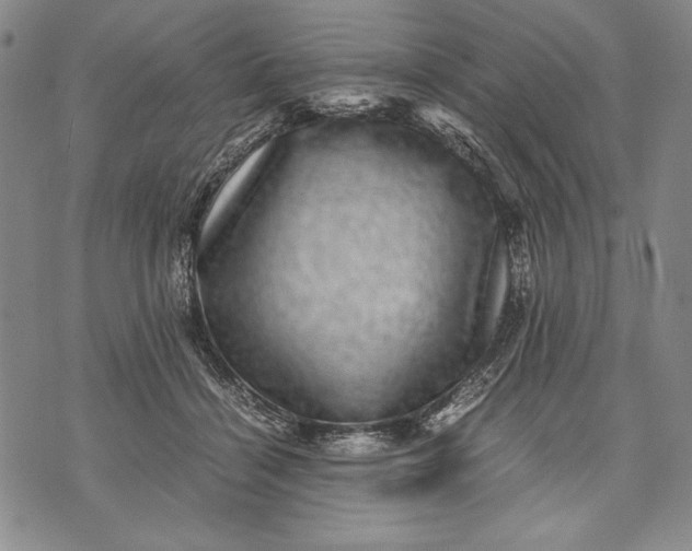 X0000071810460200607141615