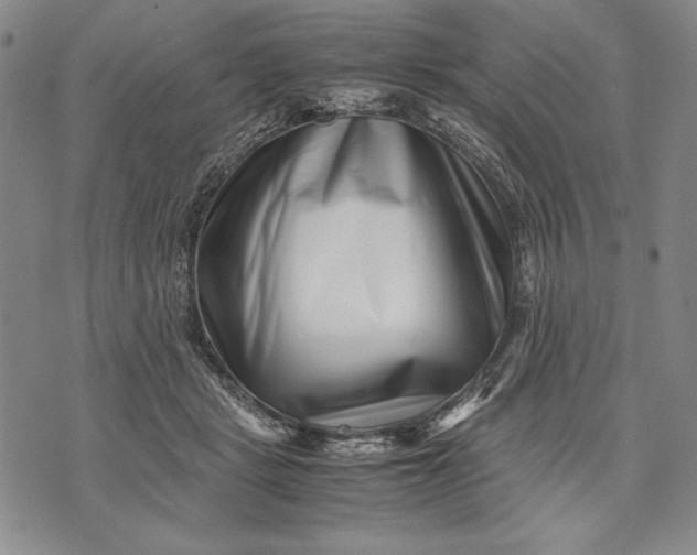 X0000071810461200607141615