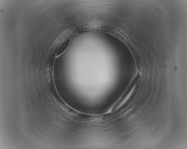 X0000071810462200607141615