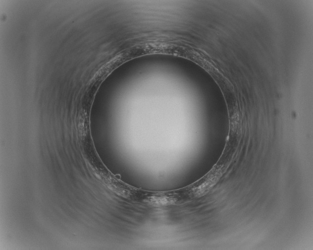 X0000071810464200607141615