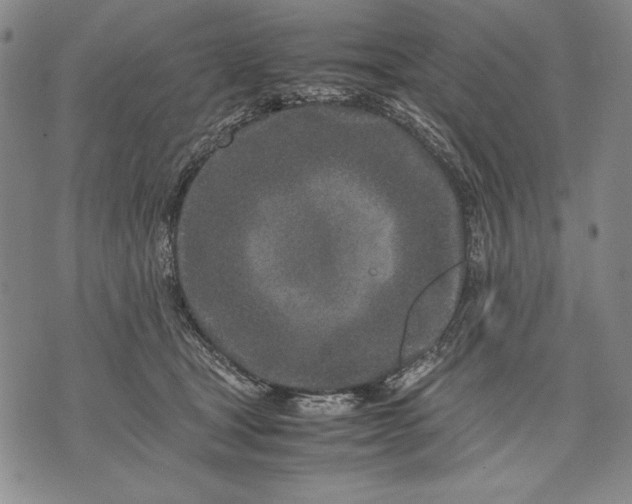 X0000071810465200607141615