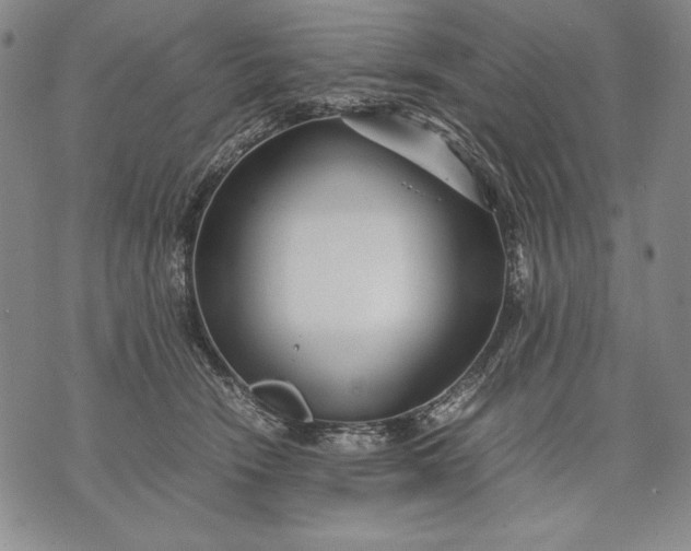 X0000071810466200607141615