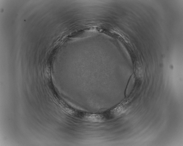 X0000071810467200607141615