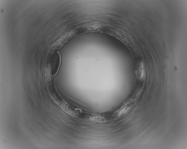 X0000071810468200607141615