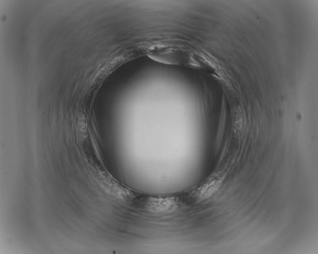 X0000071810469200607141615