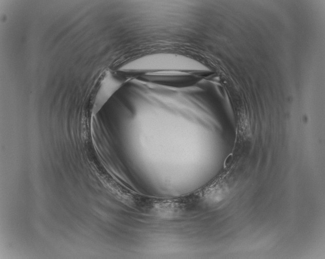 X0000071810470200607141615