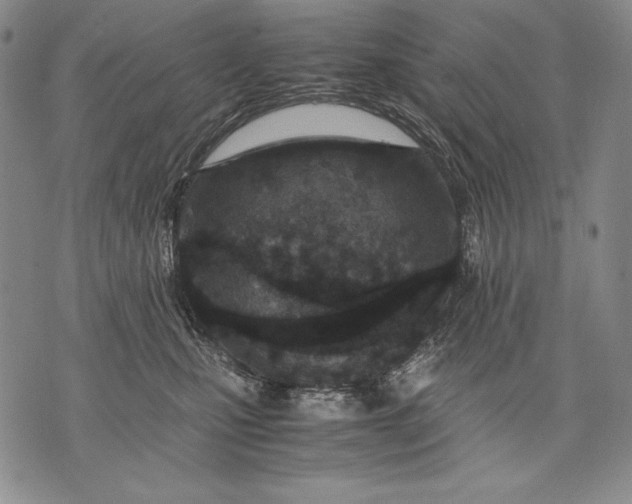 X0000071810471200607141615