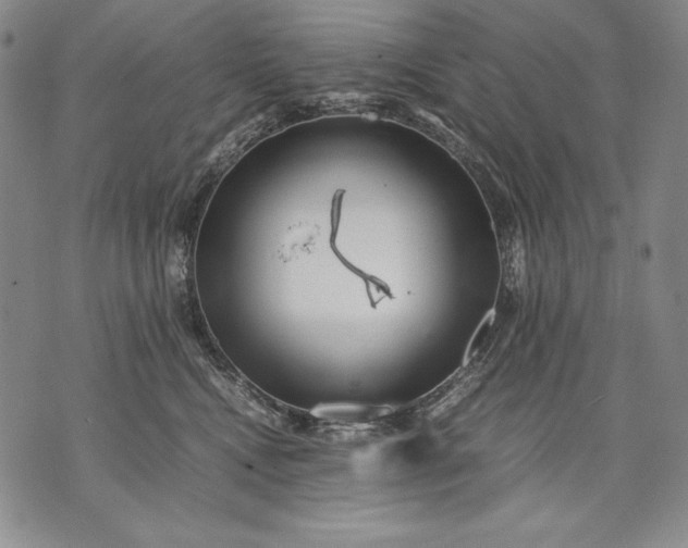 X0000071810472200607141615