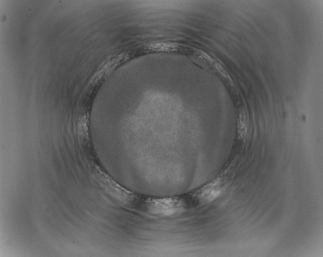 X0000071810473200607141615