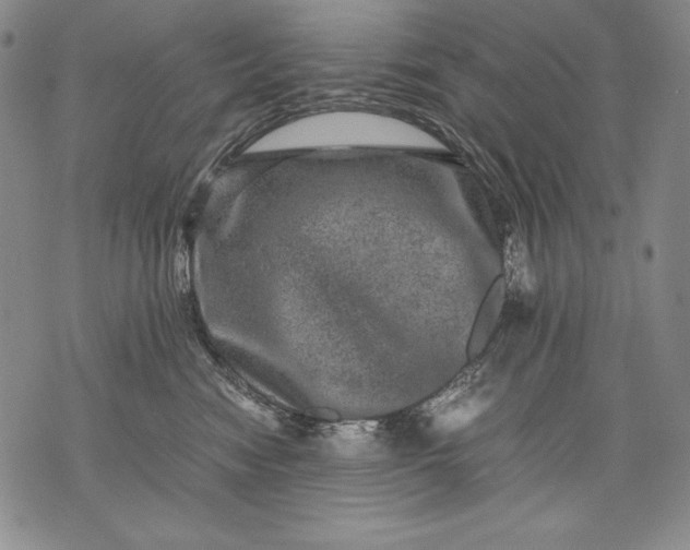 X0000071810474200607141615