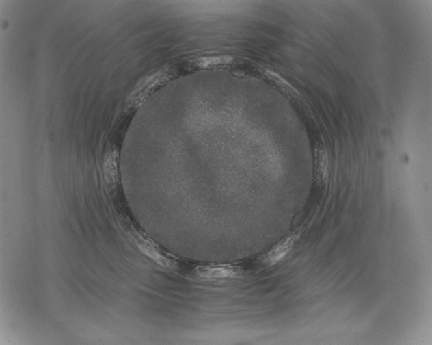 X0000071810475200607141615