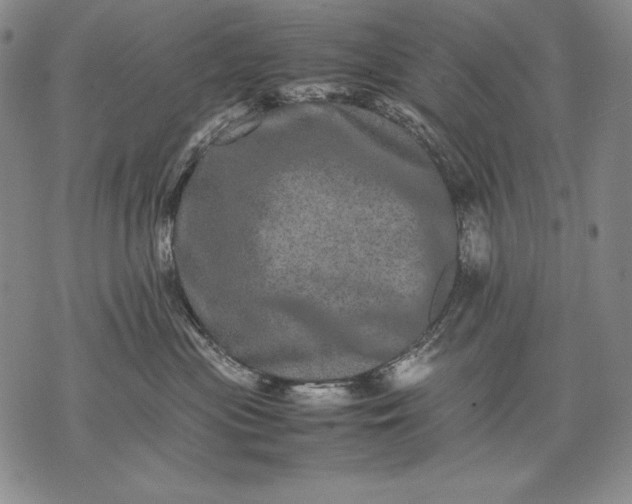 X0000071810477200607141615