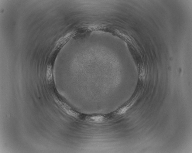 X0000071810478200607141615