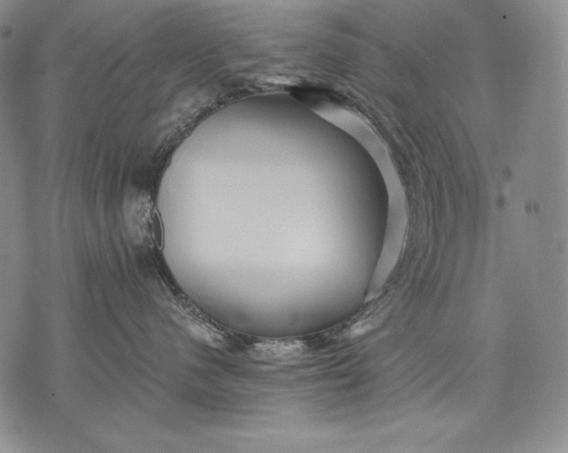 X0000071810480200607141615