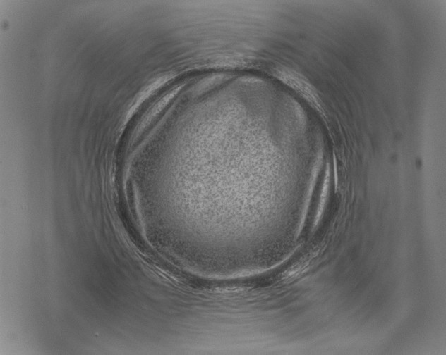 X0000071810483200607141614