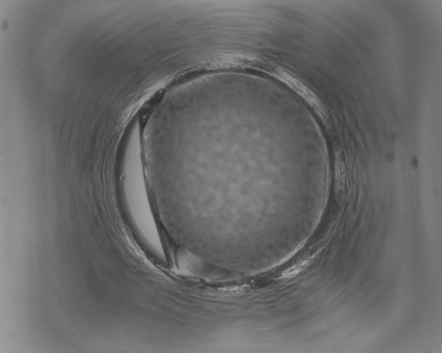 X0000071810485200607141614