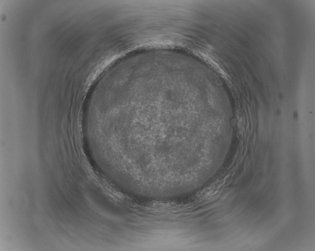 X0000071810487200607141614