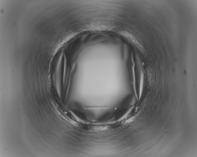 X0000071810488200607141614