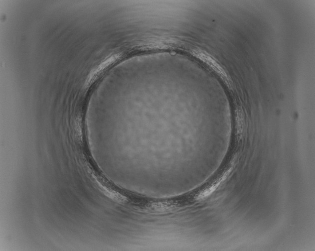 X0000071810489200607141614