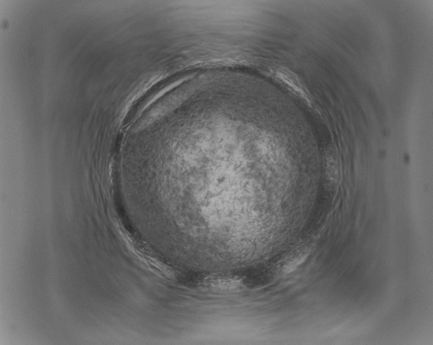 X0000071810491200607141614