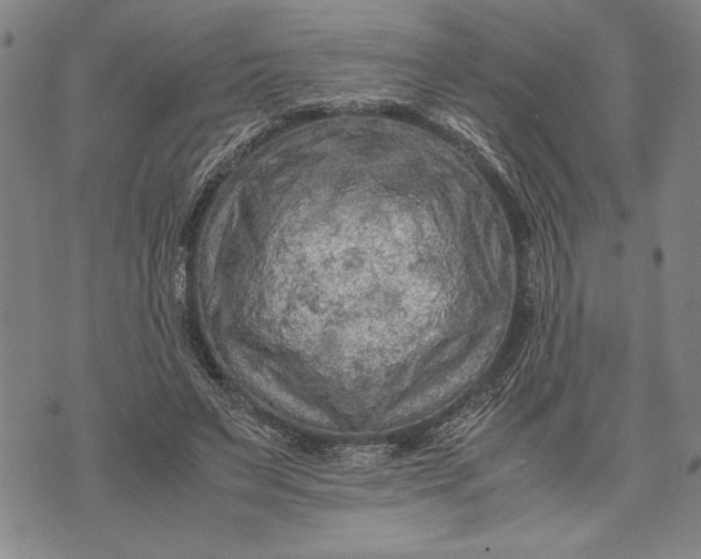 X0000071810495200607141614