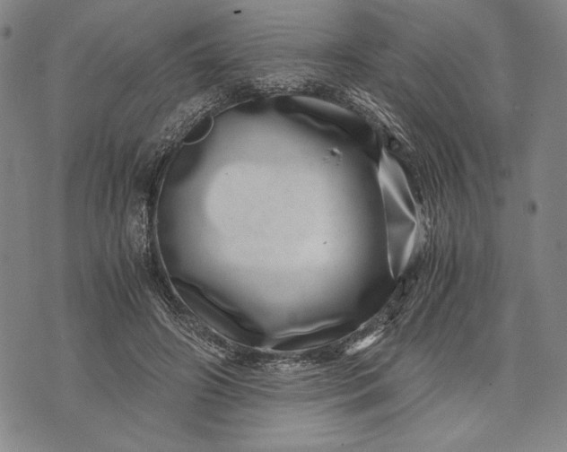 X0000071810498200607141614