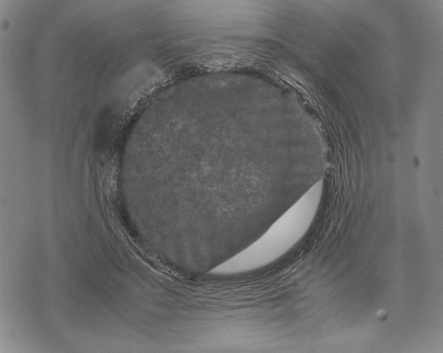 X0000071810499200607141614