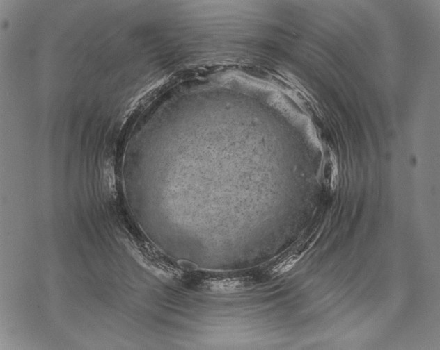 X0000071810500200607141614