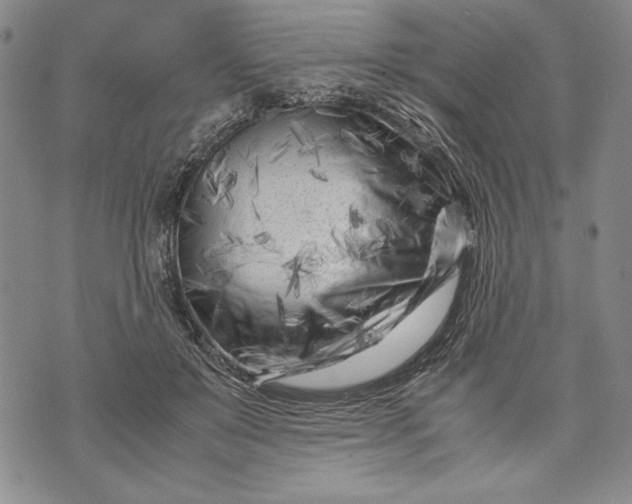 X0000071810503200607141614