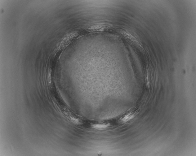 X0000071810504200607141614