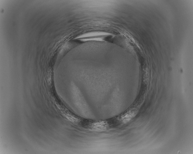 X0000071810505200607141614