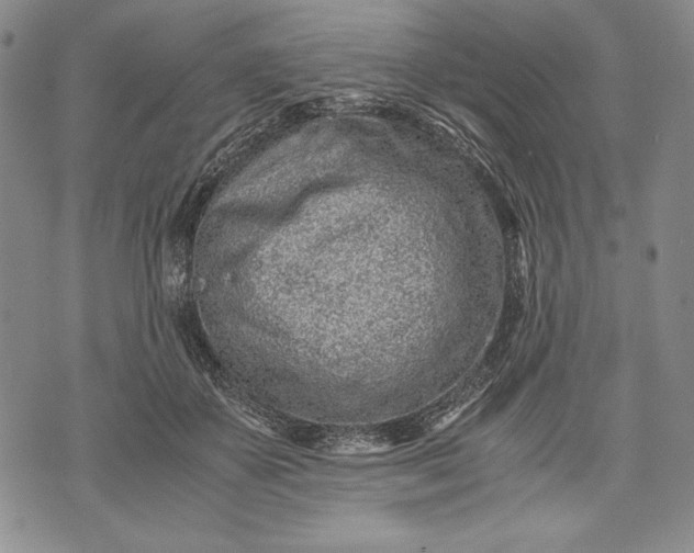 X0000071810507200607141614