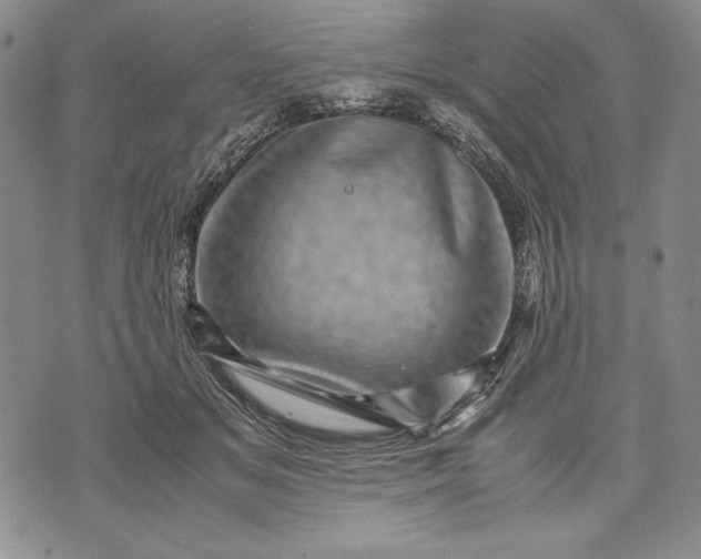 X0000071810509200607141614