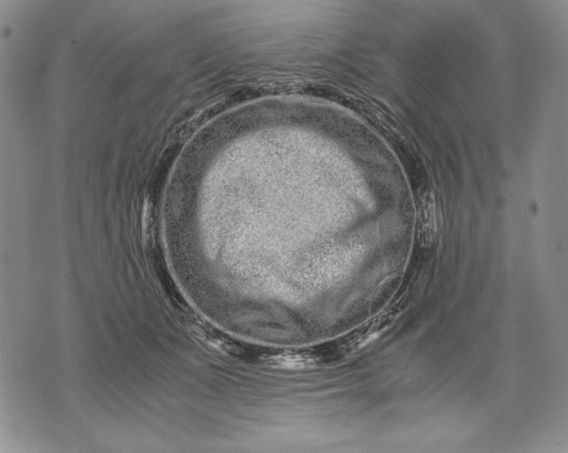 X0000071810511200607141614