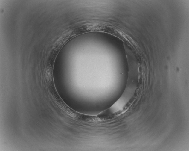 X0000071810513200607141614