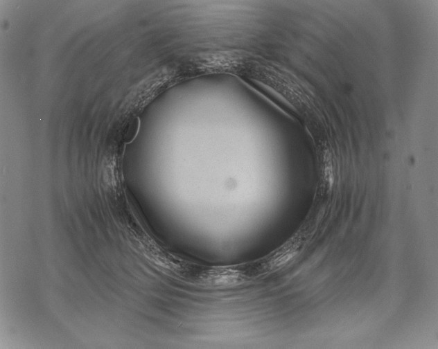 X0000071810514200607141614